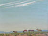 Desert Horses