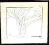 Barren Tree